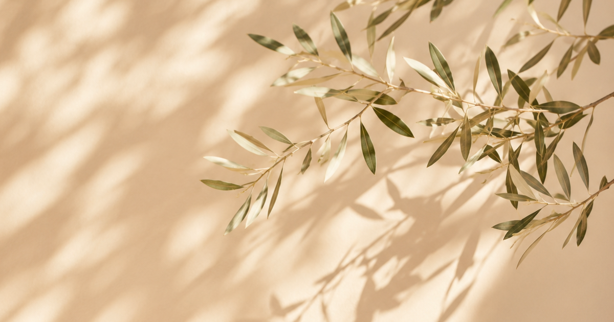 summer leaf